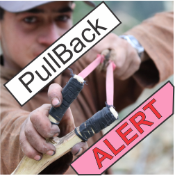 PullBack Alert